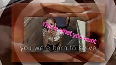 Webslut Hypno Trainer v1.3