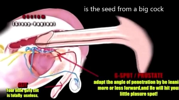 I want to feel like a Girl taken by a BBC